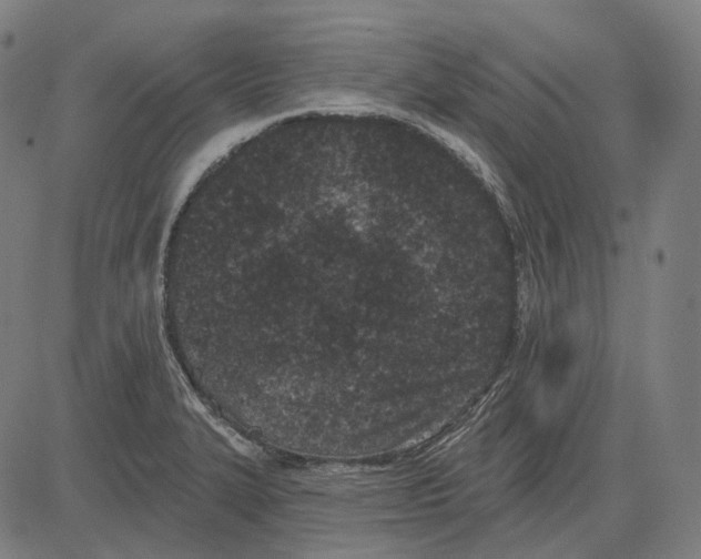 X0000081461327200702021758