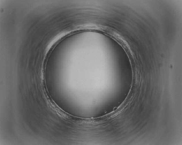 X0000081461328200702021758