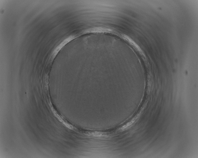 X0000081461329200702021758