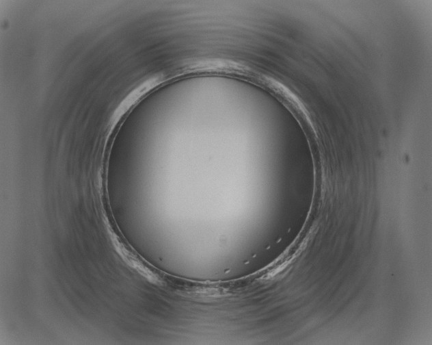 X0000081461330200702021758