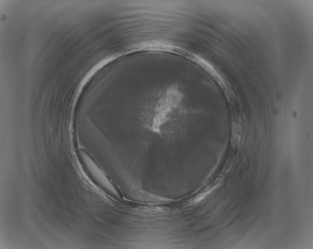 X0000081461331200702021758