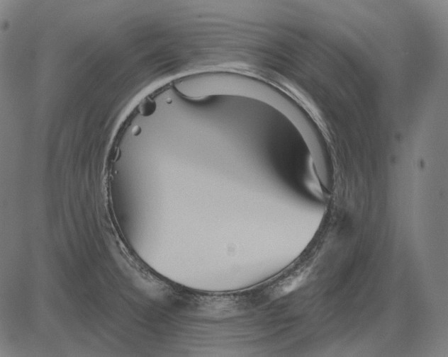 X0000081461332200702021758