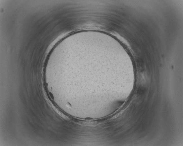 X0000081461333200702021758