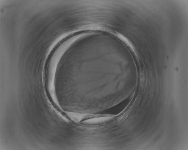 X0000081461334200702021758