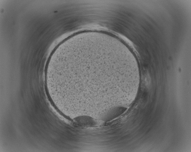 X0000081461335200702021758