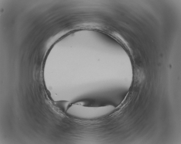 X0000081461336200702021758