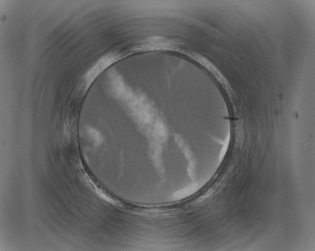 X0000081461337200702021758