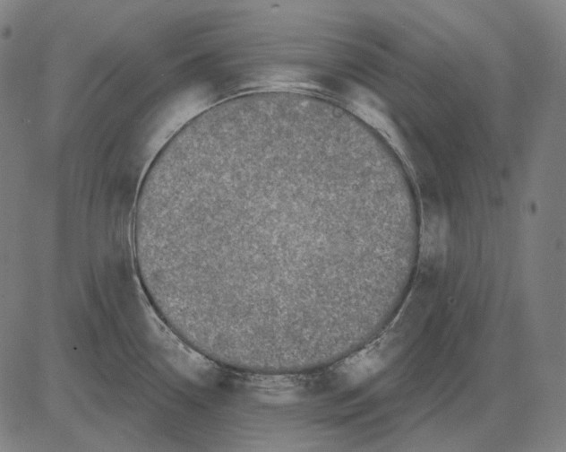 X0000081461338200702021758