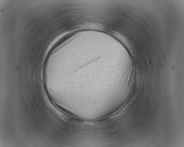 X0000081461339200702021758