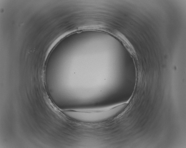 X0000081461340200702021758