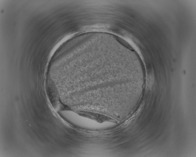 X0000081461341200702021758