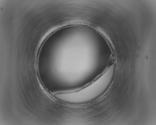 X0000081461342200702021758