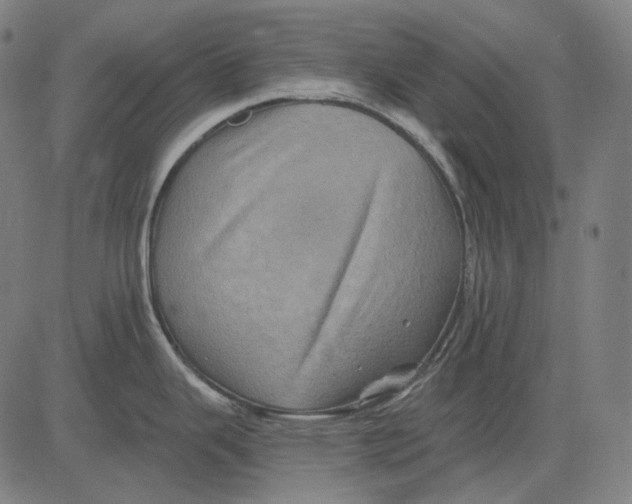 X0000081461343200702021758