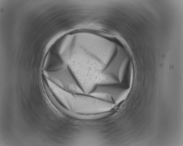 X0000081461344200702021758