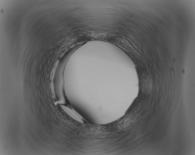 X0000081461345200702021757