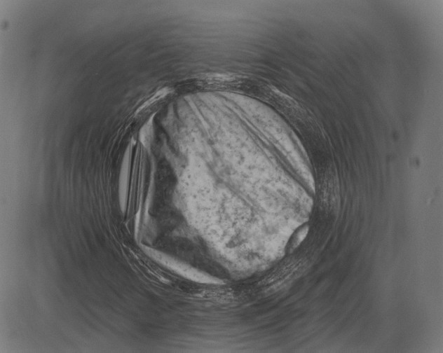 X0000081461346200702021757