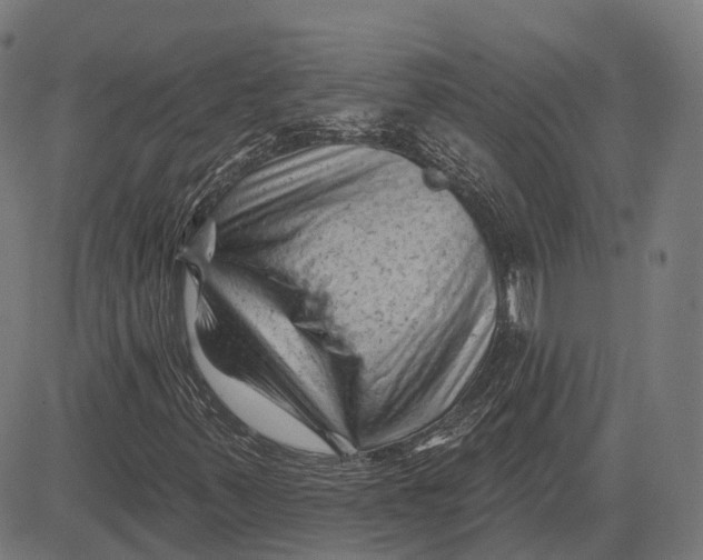 X0000081461347200702021757