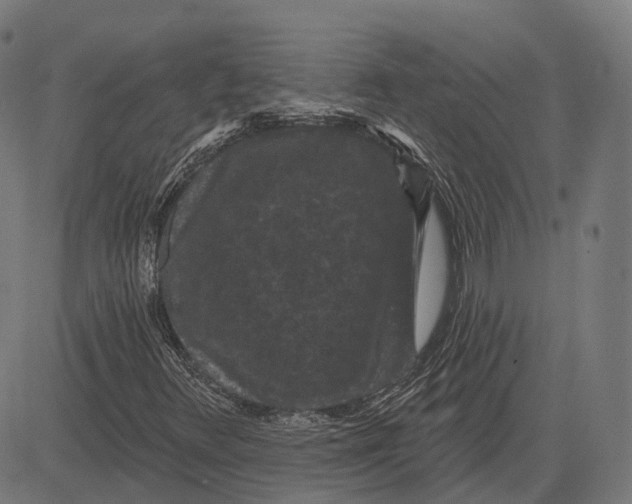 X0000081461348200702021757