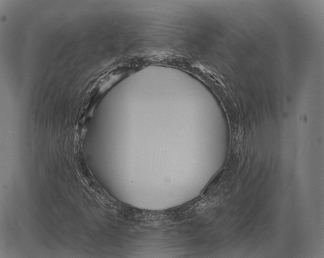 X0000081461349200702021757