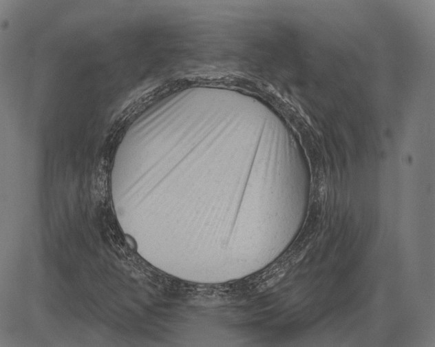 X0000081461350200702021757