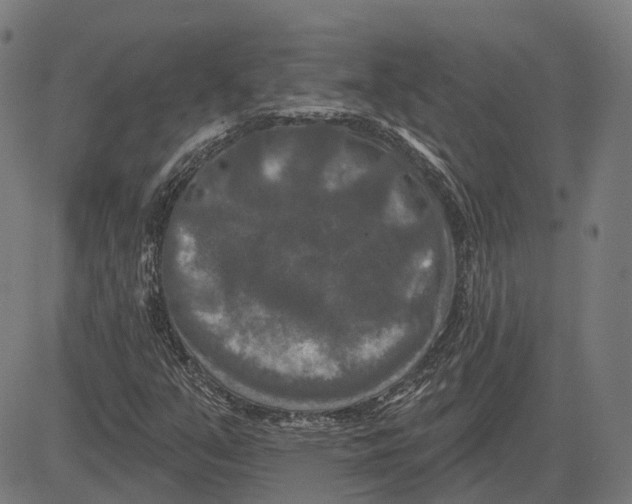 X0000081461351200702021757