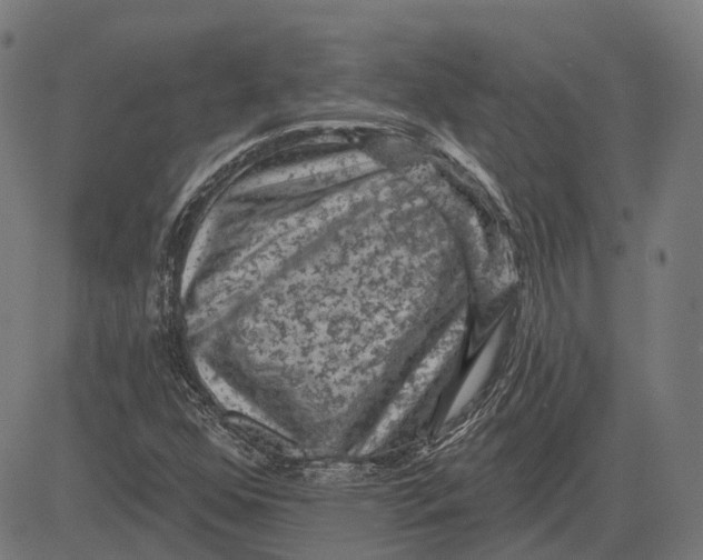 X0000081461352200702021757