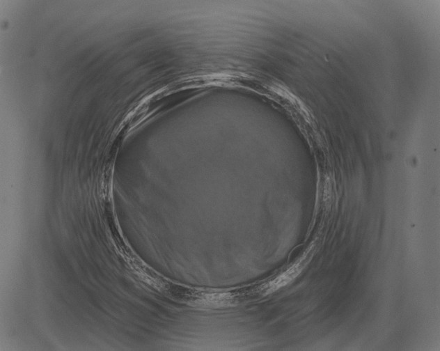 X0000081461353200702021757