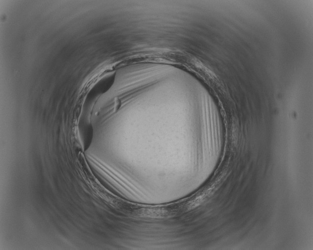 X0000081461354200702021757