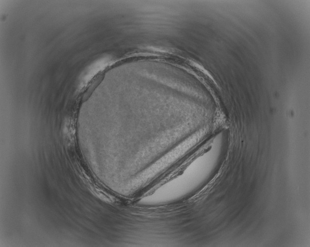 X0000081461355200702021757