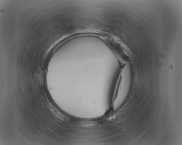 X0000081461356200702021757