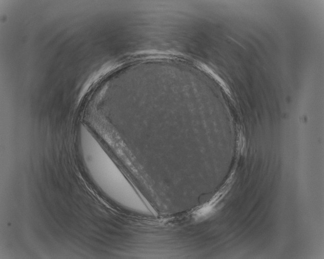 X0000081461357200702021757