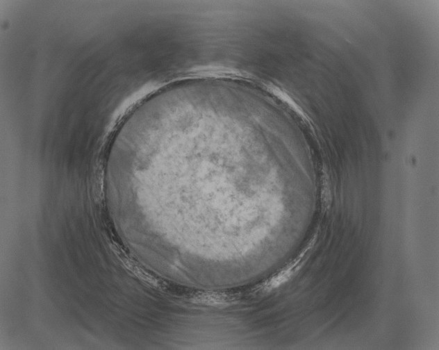 X0000081461358200702021757