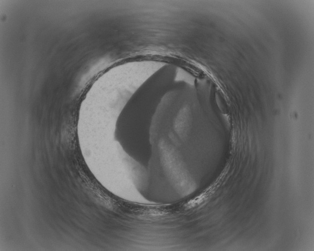 X0000081461359200702021757