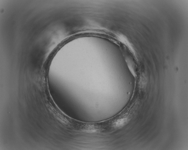 X0000081461360200702021757