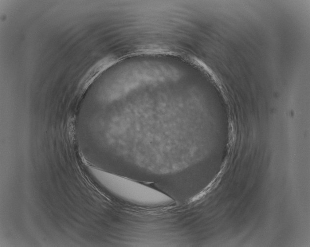 X0000081461361200702021757