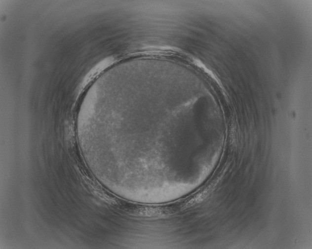 X0000081461362200702021757