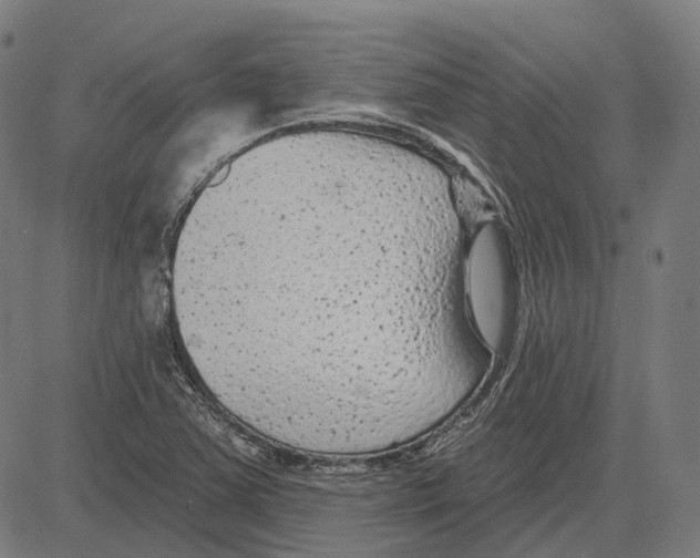 X0000081461363200702021757