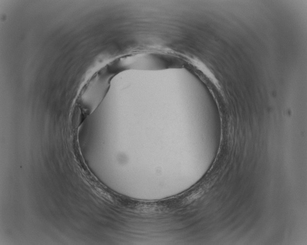 X0000081461364200702021757