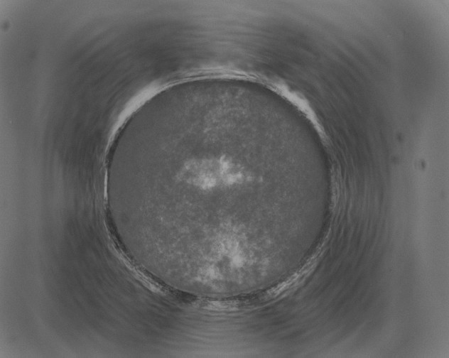 X0000081461365200702021757