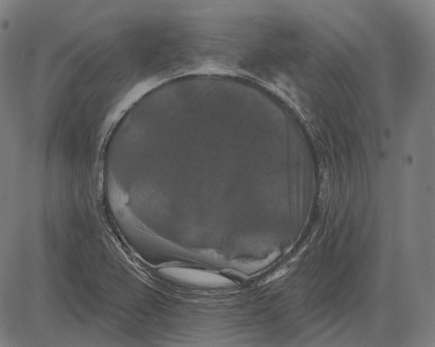 X0000081461367200702021757