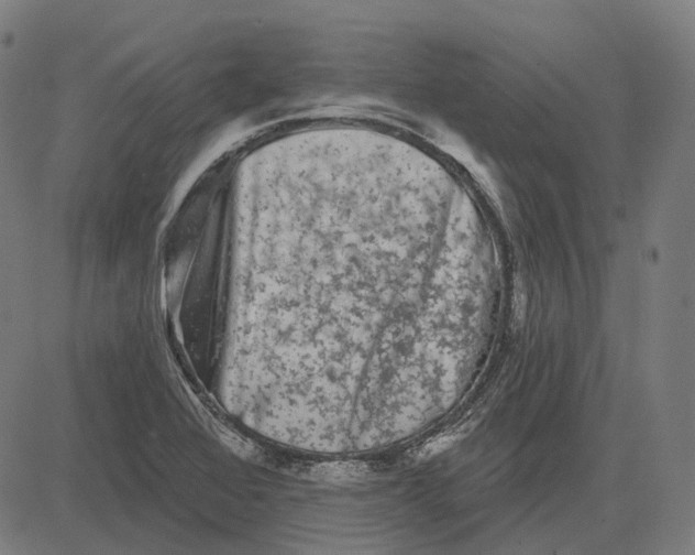 X0000081461368200702021757