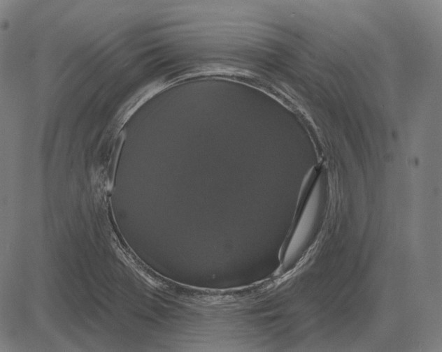 X0000081461369200702021757