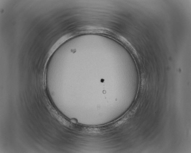 X0000081461370200702021757