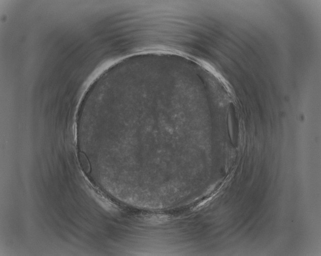 X0000081461372200702021757