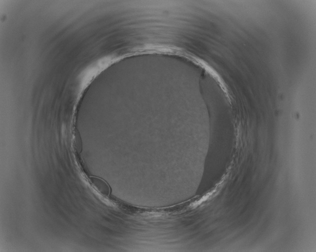 X0000081461373200702021757