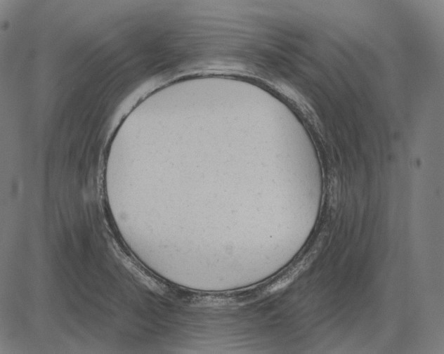 X0000081461374200702021757