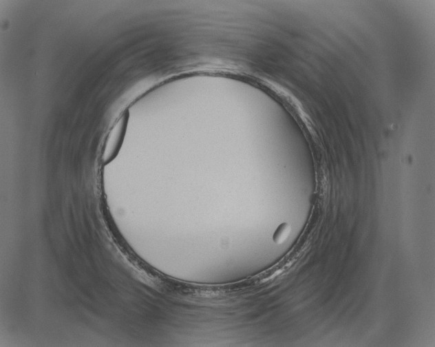 X0000081461375200702021757