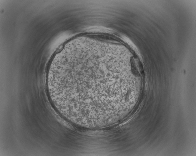 X0000081461376200702021757