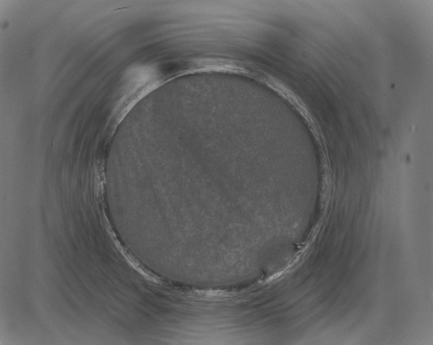 X0000081461377200702021757