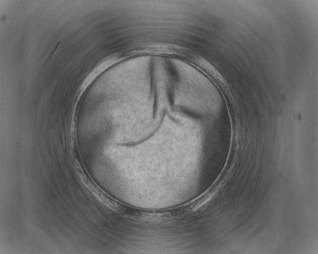 X0000081461378200702021757